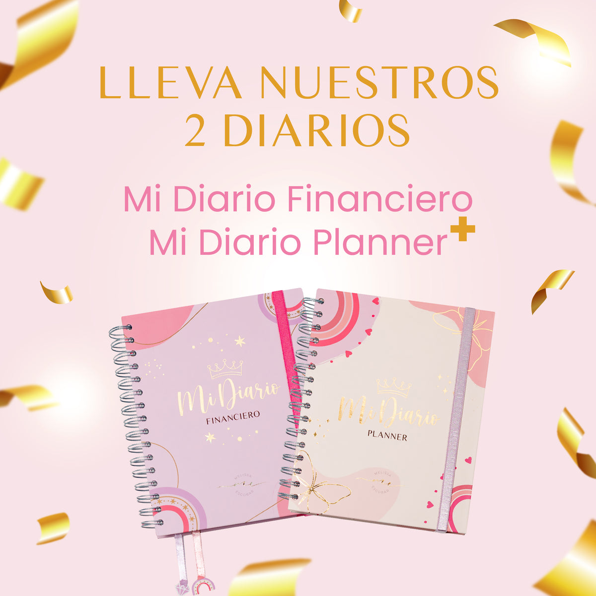 Combo ❤️❤️ Diario Financiero + Diario Planner